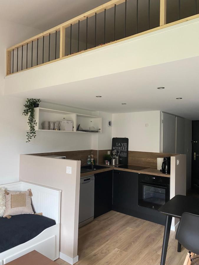 Appartement Cosy, Pied De Pistes - Les Deux Alpes Eksteriør billede